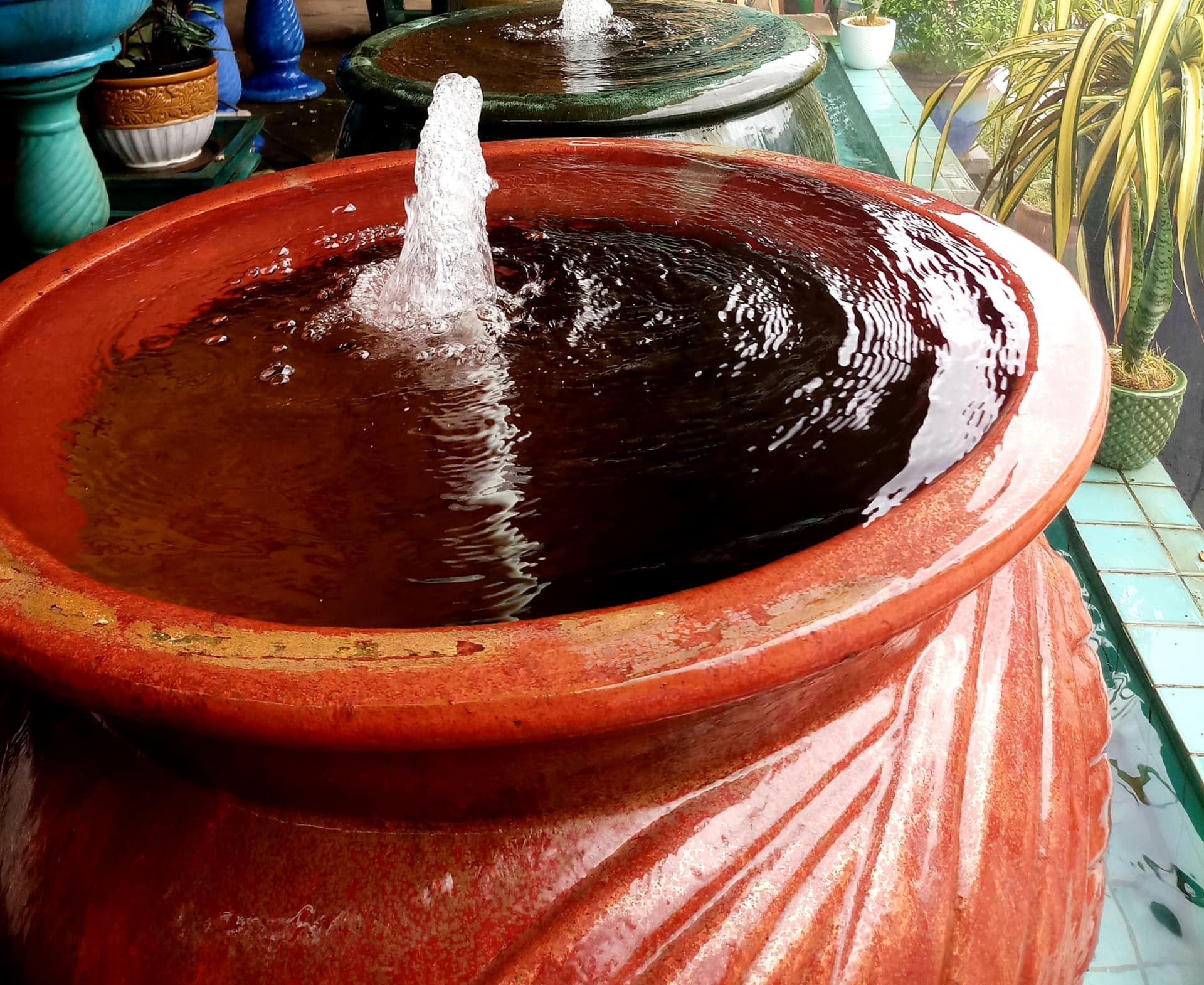 Multi Colored Fountain - The Fountains House